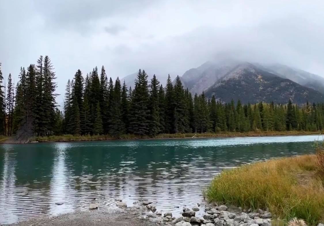 123394793_679296069692539_3567907614109439236_n